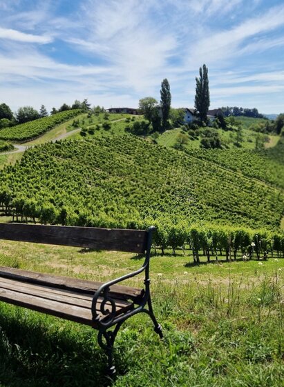 über stock und wein – naturparkwanderweg – tour 11 lt. wk „von der alm zum wein“_img_85805341 | © TV Südsteiermark/Daniela Haring | Daniela Haring | © TV Südsteiermark/Daniela Haring