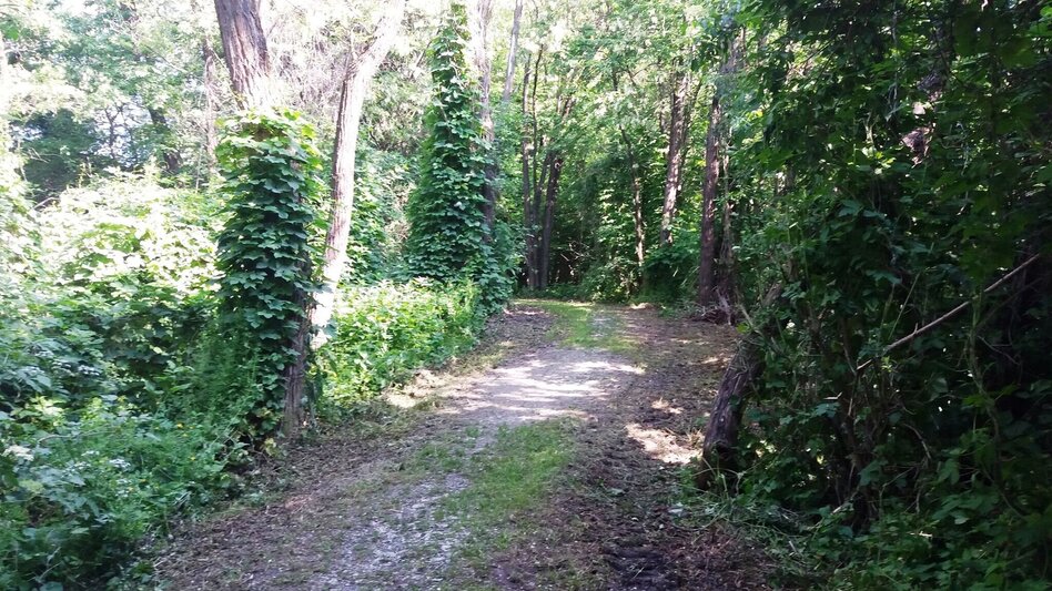 Hiking route "Braunes Gold": Montanhistorischer Wanderweg Bärnbach - Touren-Impression #2.4 | © Region Graz