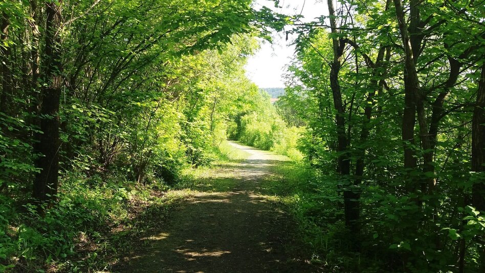 Hiking route "Braunes Gold": Montanhistorischer Wanderweg Bärnbach - Touren-Impression #2.5 | © Region Graz