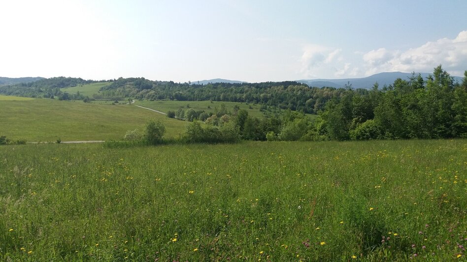 Hiking route "Braunes Gold": Montanhistorischer Wanderweg Bärnbach - Touren-Impression #2.7 | © Region Graz