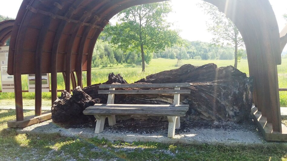 Hiking route "Braunes Gold": Montanhistorischer Wanderweg Bärnbach - Touren-Impression #2.9 | © Region Graz