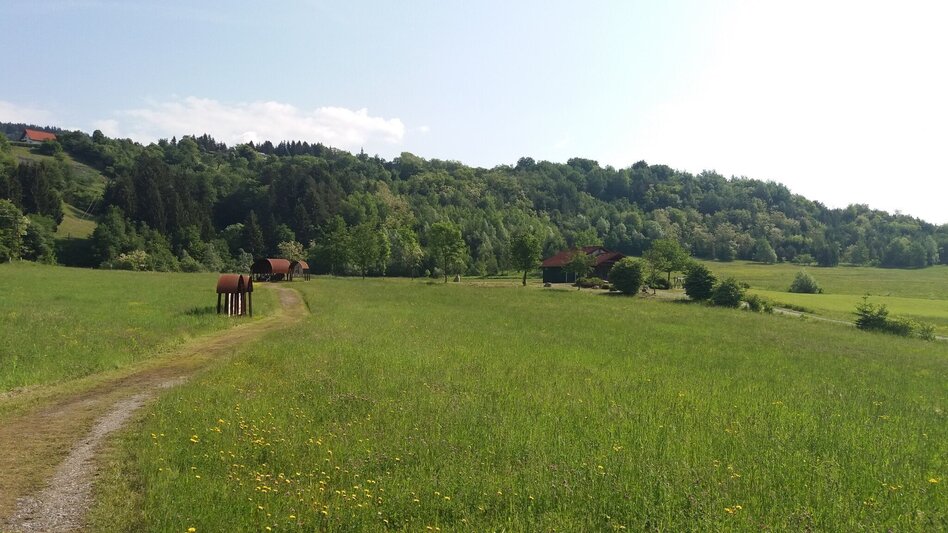 Hiking route "Braunes Gold": Montanhistorischer Wanderweg Bärnbach - Touren-Impression #2.10 | © Region Graz