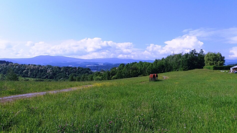 Hiking route "Braunes Gold": Montanhistorischer Wanderweg Bärnbach - Touren-Impression #2.11 | © Region Graz