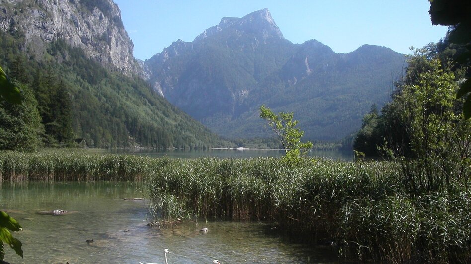 Hiking route Leopoldsteinersee round - Touren-Impression #2.1 | © Tourismusbüro Eisenerz