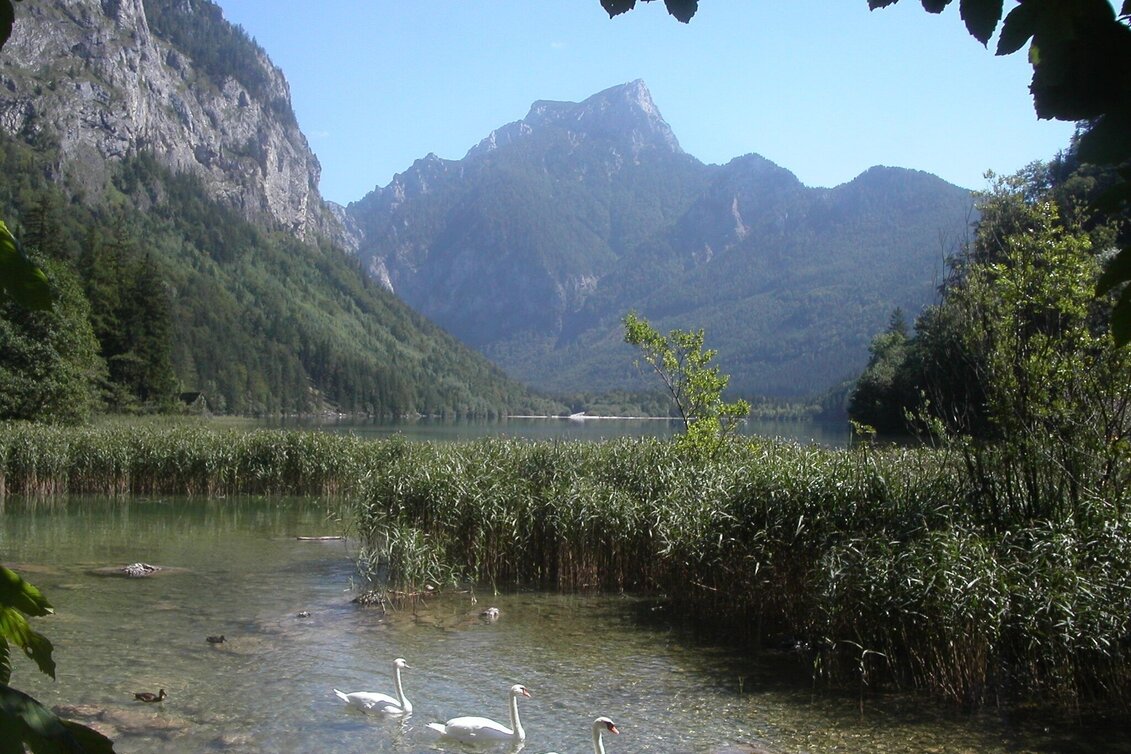 Hiking route Leopoldsteinersee round - Touren-Impression #1 | © Tourismusbüro Eisenerz