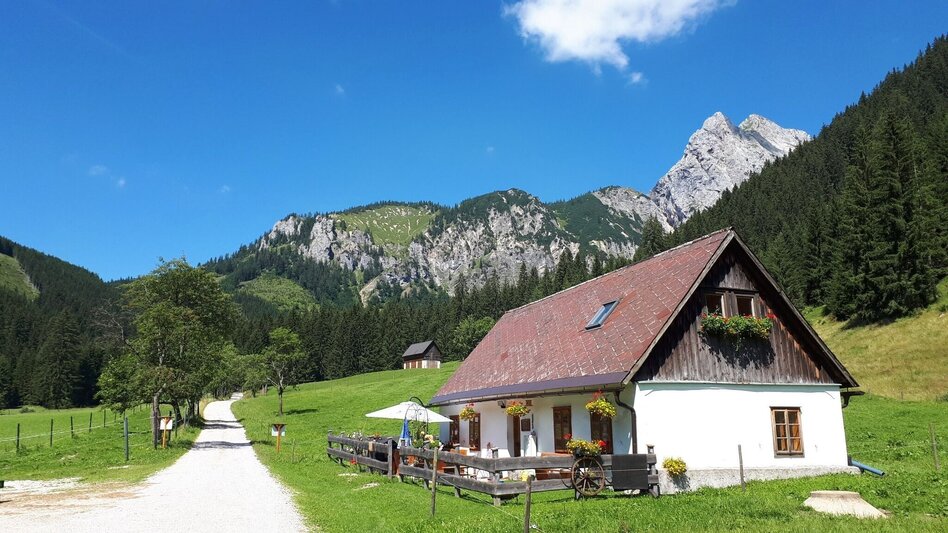 Wanderung Donnersalpe - Touren-Impression #2.7 | © Tourismusverband ERZBERG LEOBEN