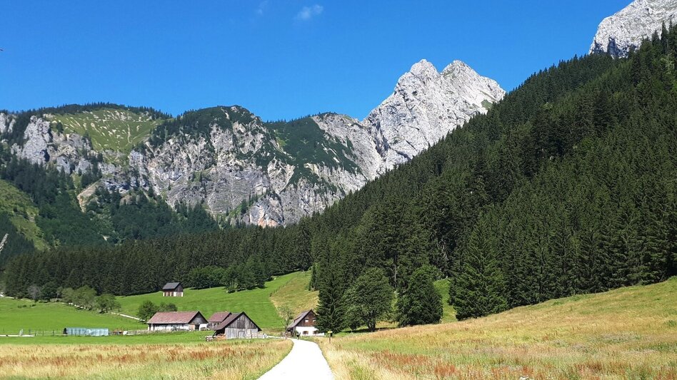 Wanderung Donnersalpe - Touren-Impression #2.8 | © Tourismusverband ERZBERG LEOBEN