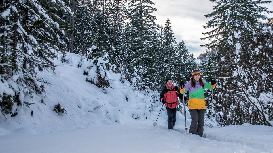 Winterwandern Panoramatour Hinterwildalpen - Touren-Impression #2.1 | © TV Gesäuse