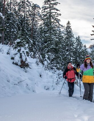 tiefverschneite Forstwege | Tourismusverband Gesäuse | © TV Gesäuse