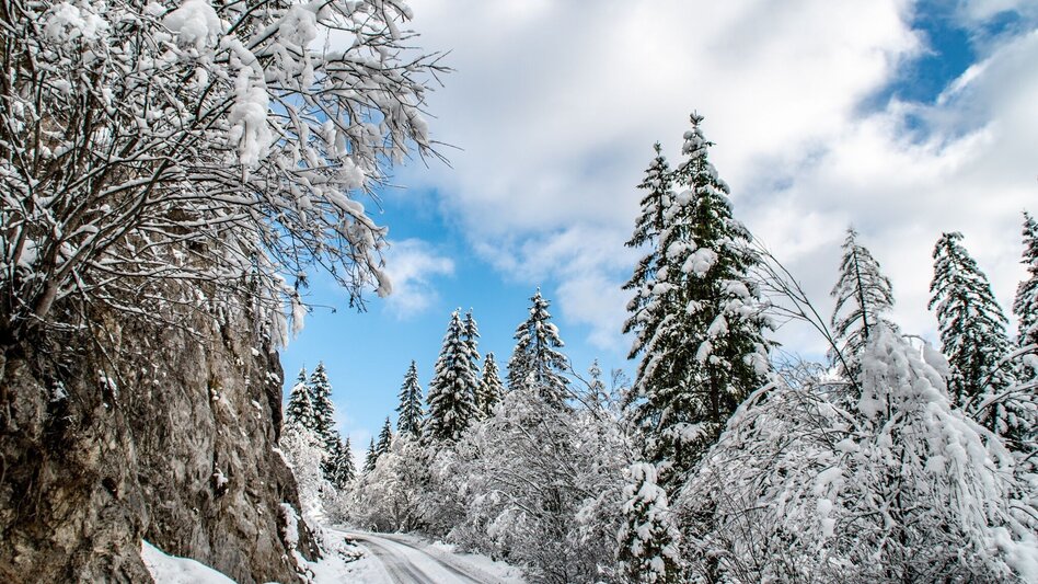 Winterwandern Panoramatour Hinterwildalpen - Touren-Impression #2.2 | © TV Gesäuse
