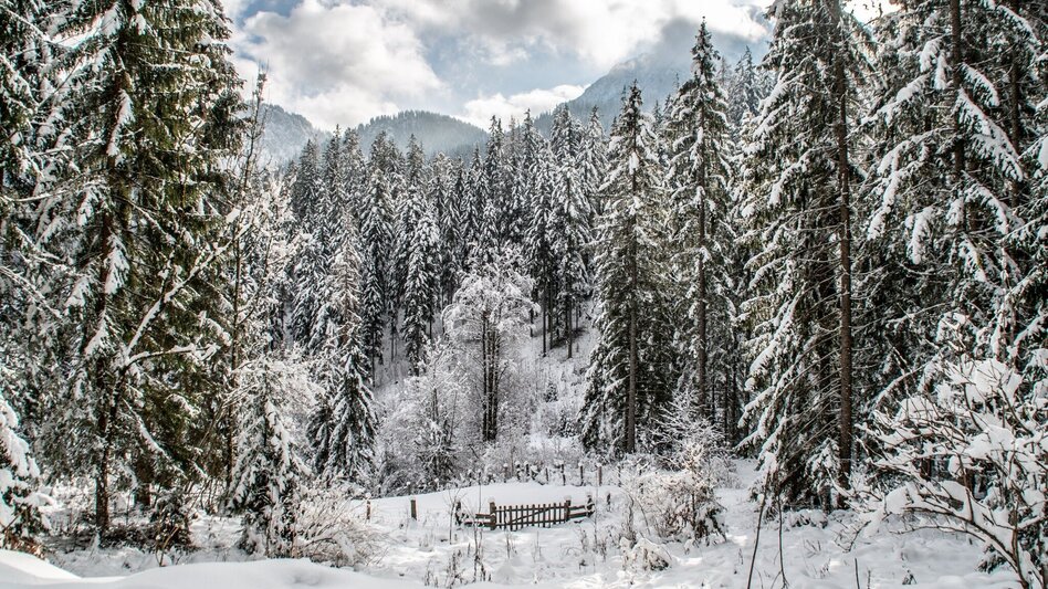 Winterwandern Panoramatour Hinterwildalpen - Touren-Impression #2.3 | © TV Gesäuse