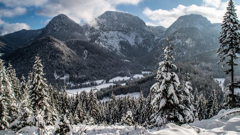 Winterwandern Panoramatour Hinterwildalpen - Touren-Impression #2.4 | © TV Gesäuse