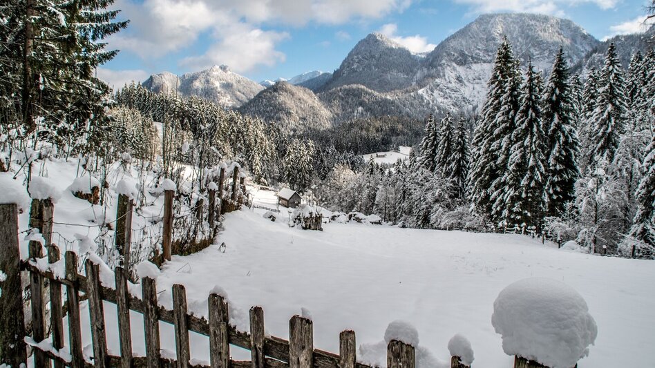 Winterwandern Panoramatour Hinterwildalpen - Touren-Impression #2.5 | © TV Gesäuse