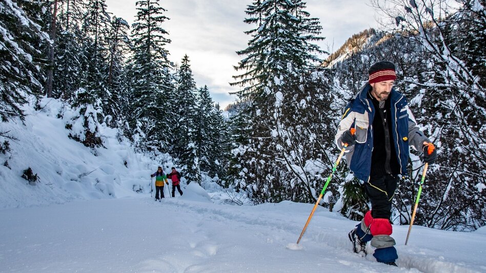 Winterwandern Panoramatour Hinterwildalpen - Touren-Impression #2.7 | © TV Gesäuse