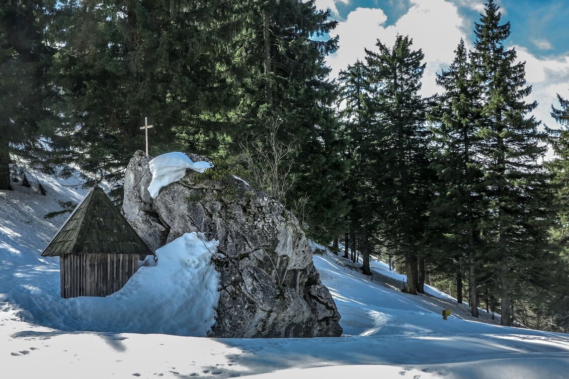 Schneeschuh Auf die Goss in Hinterwildalpen - Touren-Impression #1 | © TV Gesäuse