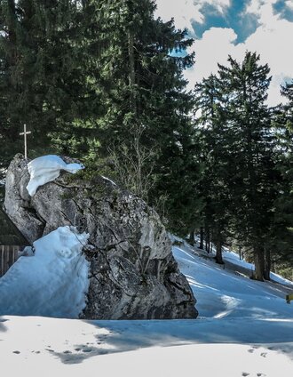 Auf der Goss im Winter | Tourismusverband Gesäuse | © TV Gesäuse