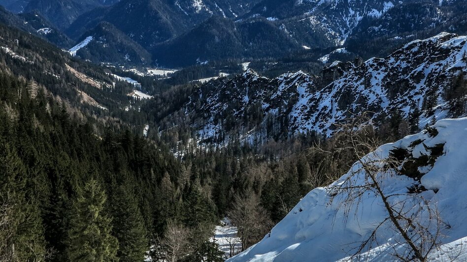 Schneeschuh Auf die Goss in Hinterwildalpen - Touren-Impression #2.2 | © TV Gesäuse