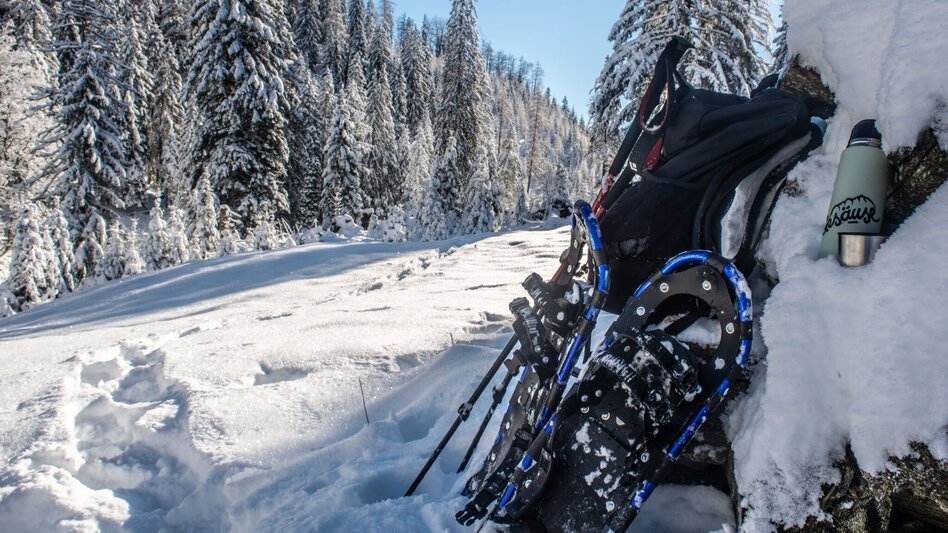 Schneeschuh Auf die Goss in Hinterwildalpen - Touren-Impression #2.4 | © TV Gesäuse