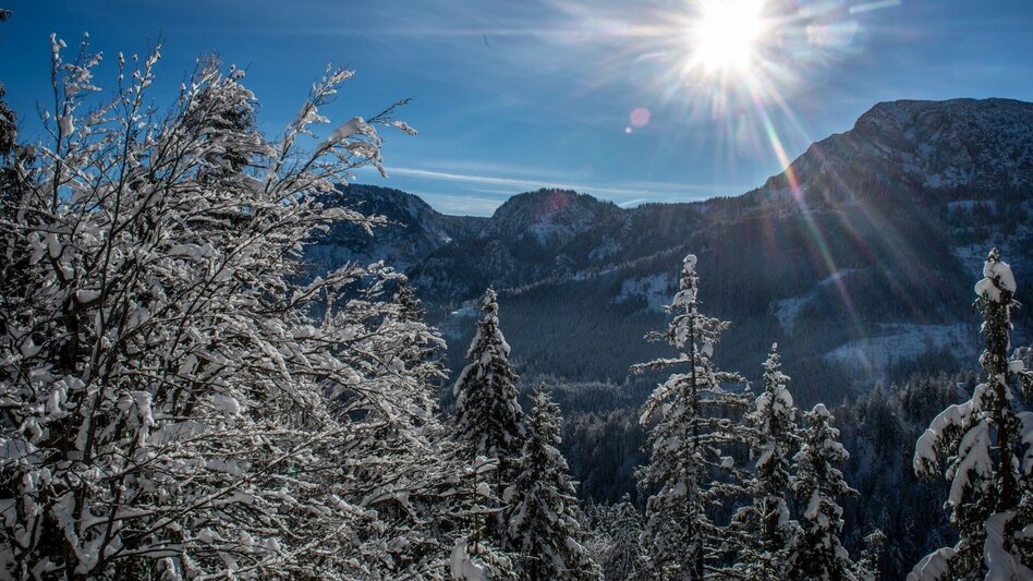 Schneeschuh Auf die Goss in Hinterwildalpen - Touren-Impression #2.6 | © TV Gesäuse