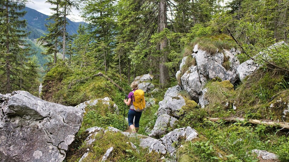 Hiking route Lugauer Tour - Touren-Impression #2.4 | © Weges OG