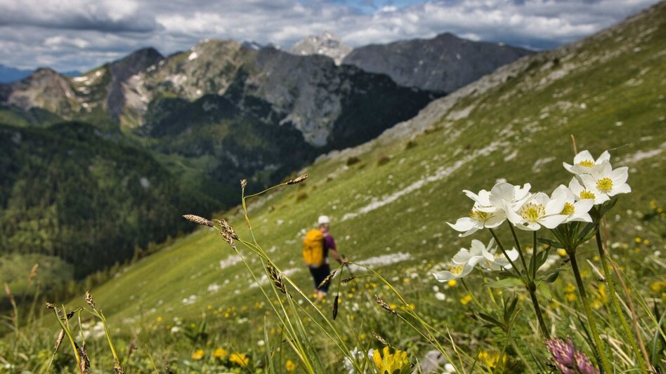 Hiking route Lugauer Tour - Touren-Impression #2.7 | © Weges OG