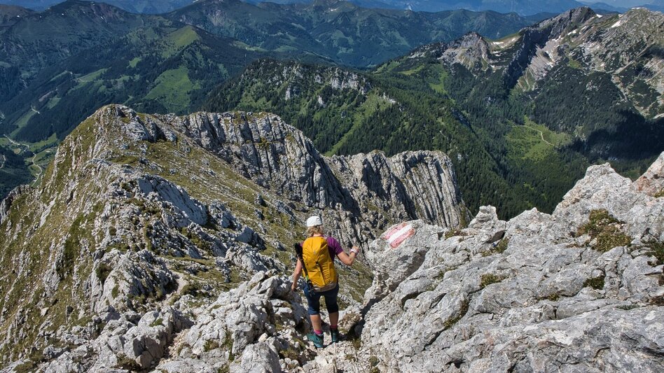 Hiking route Lugauer Tour - Touren-Impression #2.10 | © Weges OG