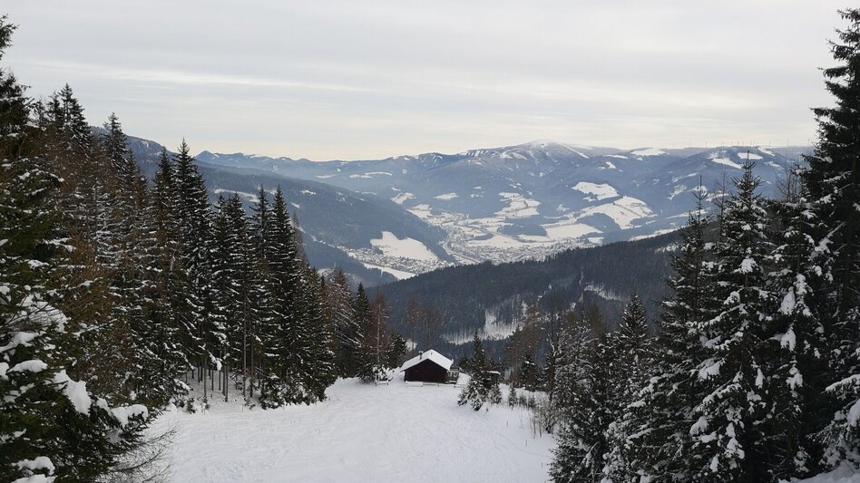 Snowshoe walking Vom Stift Neuberg bis zur Semmeringbahn - Touren-Impression #2.6 | © TV Hochsteiermark