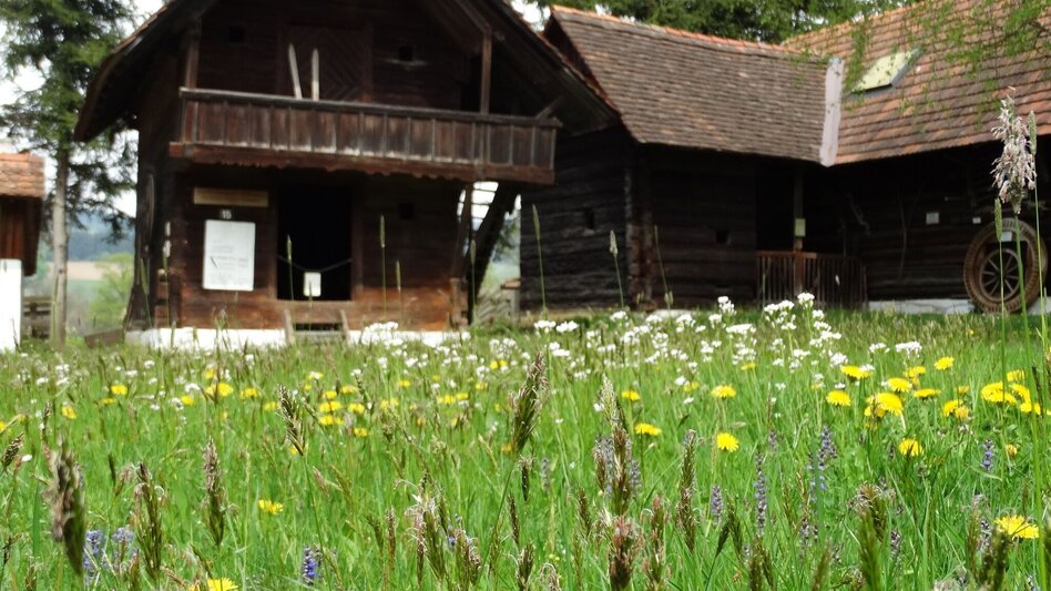 Pilgrim Walk Pankratius Way, Pöllauberg - Touren-Impression #2.9 | © Oststeiermark Tourismus