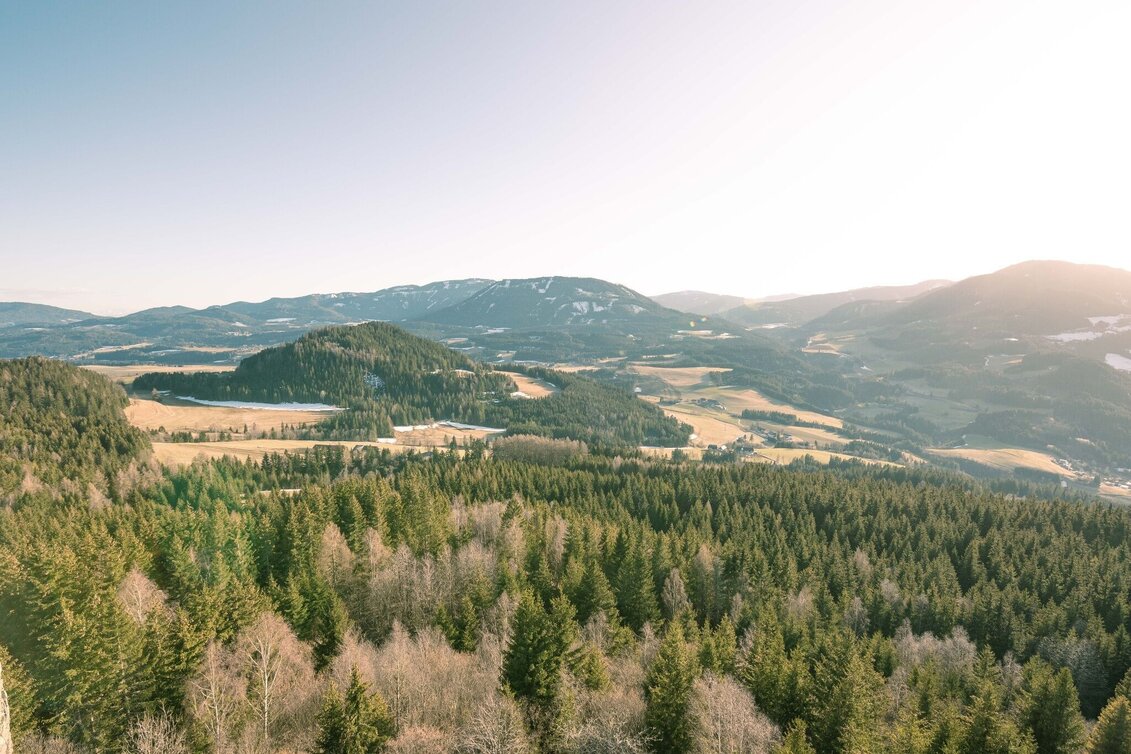 Wanderung Vom Naturpark-Bauernhof Sperl zum Steinschloss - Touren-Impression #1 | © Tourismusverband Murau