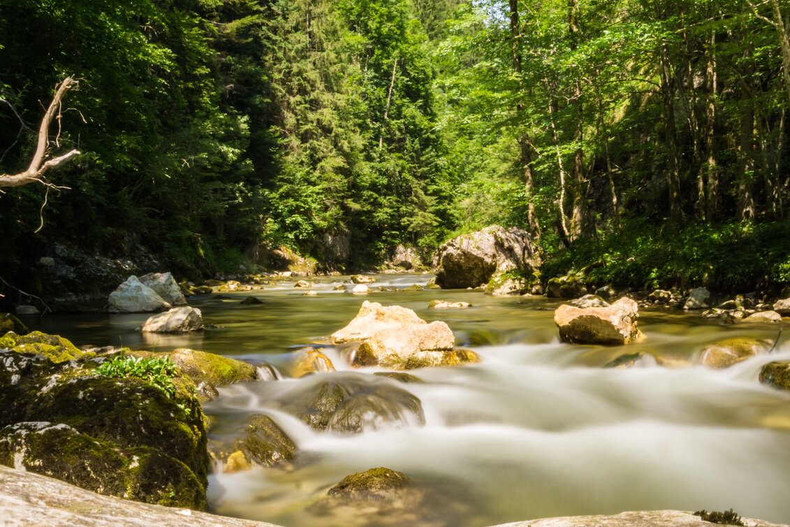 Regional hiking trail Power place Salzaklamm - Touren-Impression #1 | © TV Hochsteiermark