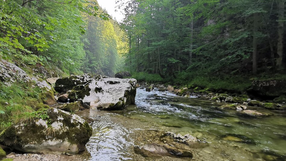 Regional hiking trail Power place Salzaklamm - Touren-Impression #2.2 | © TV Hochsteiermark