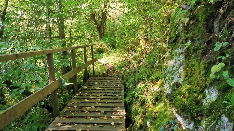 Regional hiking trail Power place Salzaklamm - Touren-Impression #2.3 | © TV Hochsteiermark