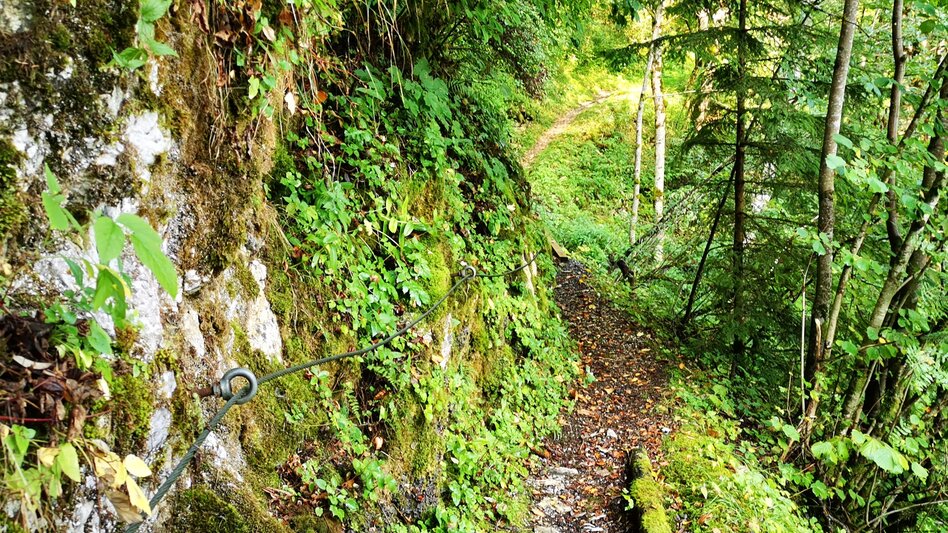 Regional hiking trail Power place Salzaklamm - Touren-Impression #2.5 | © TV Hochsteiermark
