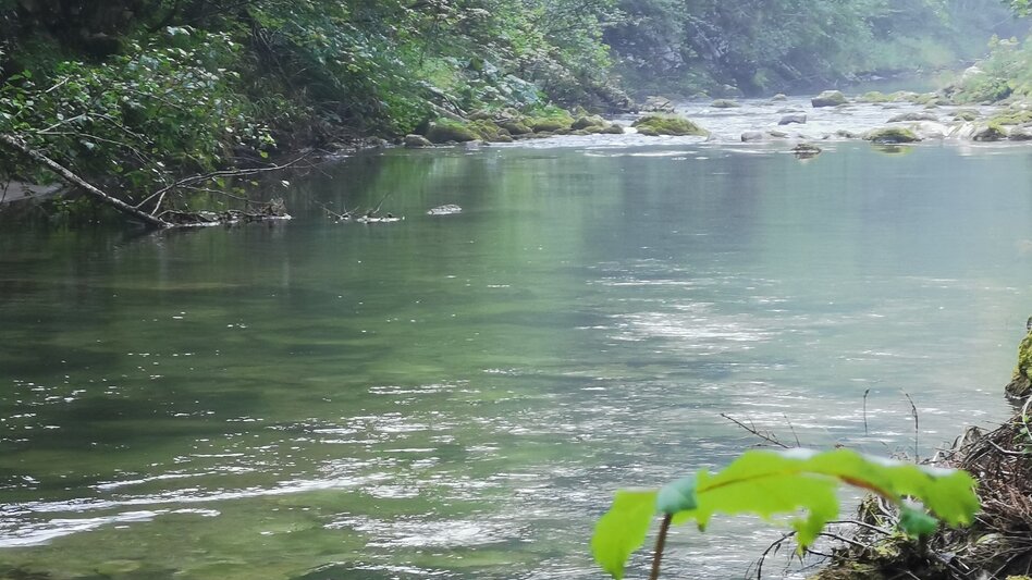 Regional hiking trail Power place Salzaklamm - Touren-Impression #2.6 | © TV Hochsteiermark
