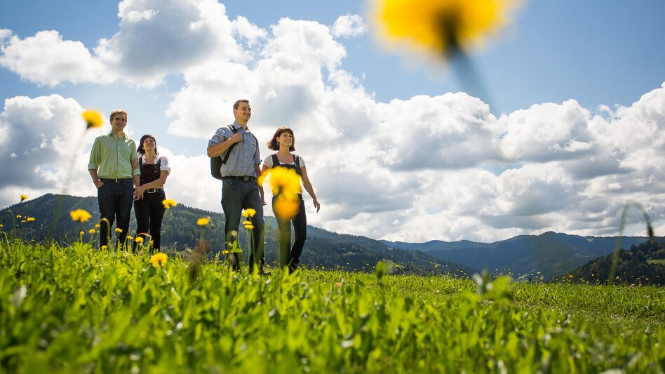 Hiking route Stanzer WirteWanderWeg Tischlerwirt - Touren-Impression #2.2 | © TV Hochsteiermark