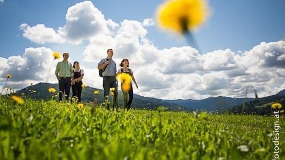 Hiking route Stanzer WirteWanderWeg Almwirt - Touren-Impression #2.1 | © TV Hochsteiermark
