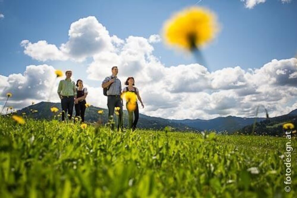 Hiking route Stanzer WirteWanderWeg Almwirt - Touren-Impression #1 | © TV Hochsteiermark
