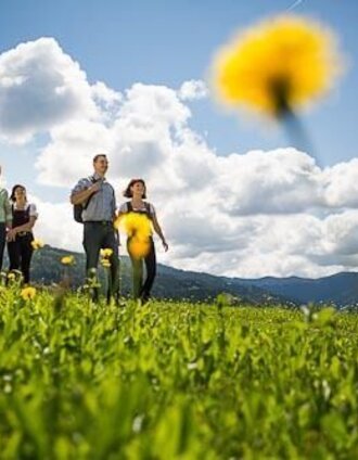 Stanzer Sonnberg_fotodesign.at | Ute Gurdet | © TV Hochsteiermark