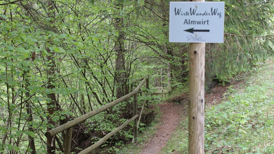 Hiking route Stanzer WirteWanderWeg Almwirt - Touren-Impression #2.2 | © TV Hochsteiermark