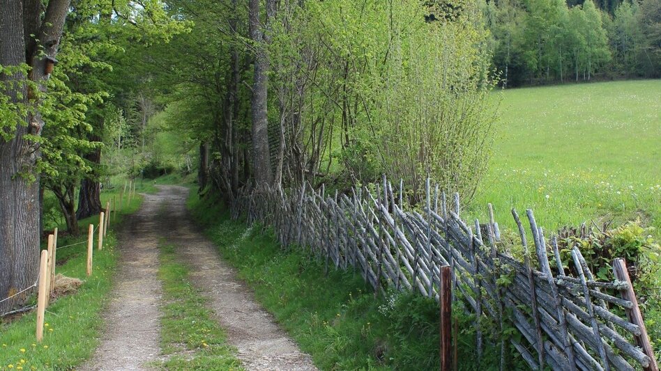 Hiking route Stanzer WirteWanderWeg Almwirt - Touren-Impression #2.3 | © TV Hochsteiermark