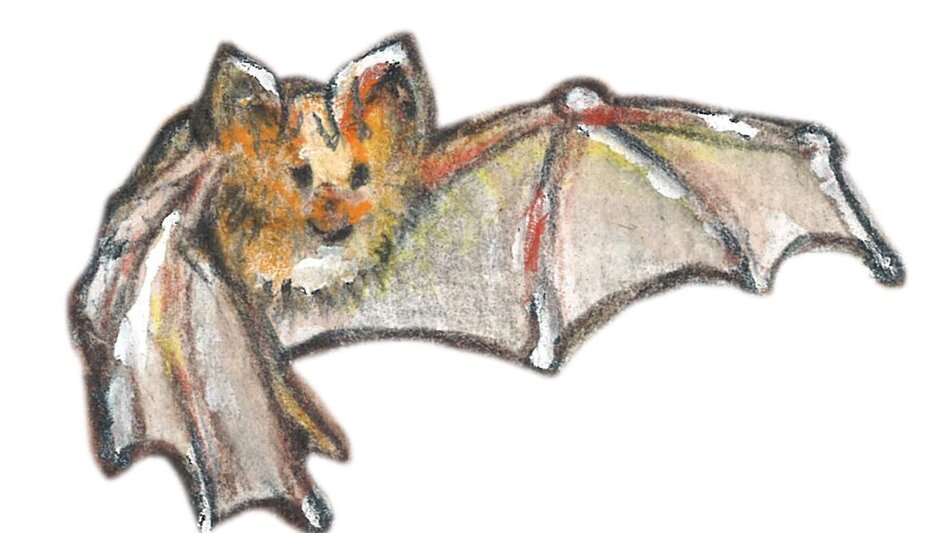 Themen- und Lehrpfad Peggauer Märchenwanderweg - Touren-Impression #2.2 | © Region Graz