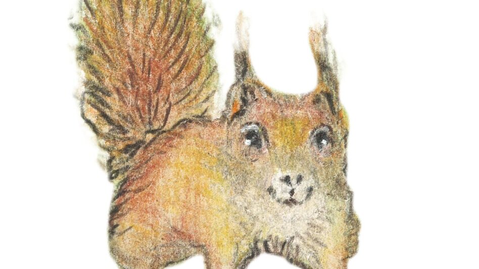 Themen- und Lehrpfad Peggauer Märchenwanderweg - Touren-Impression #2.4 | © Region Graz