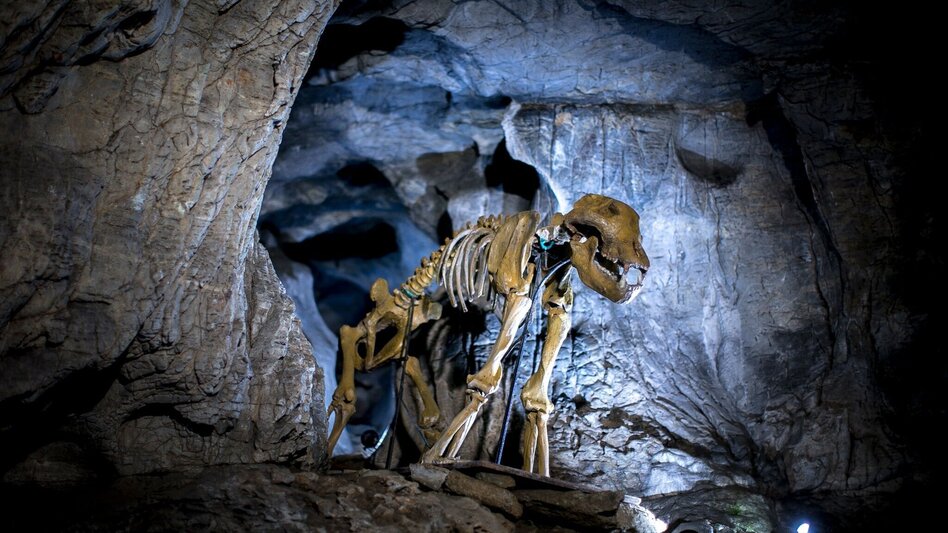 Themen- und Lehrpfad Peggauer Märchenwanderweg - Touren-Impression #2.6 | © Region Graz