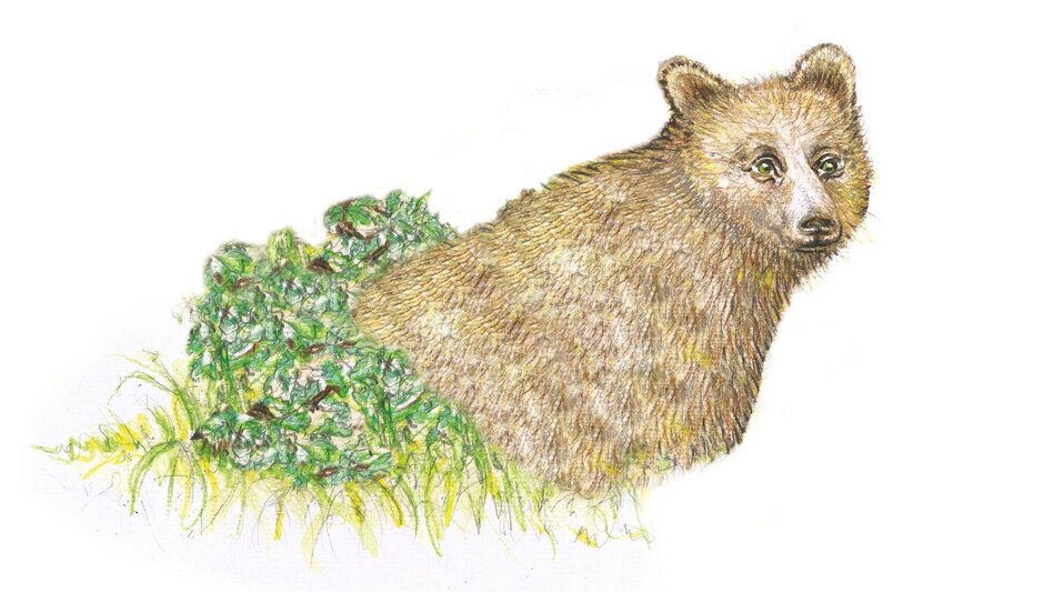 Themen- und Lehrpfad Peggauer Märchenwanderweg - Touren-Impression #2.10 | © Region Graz