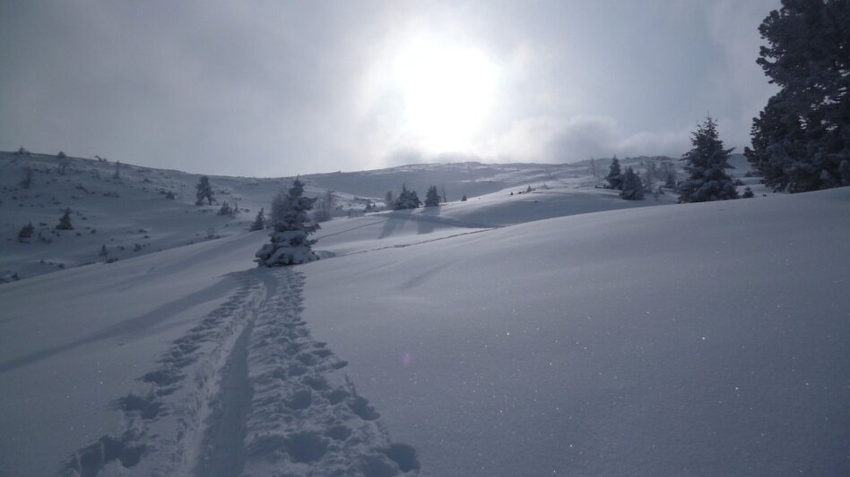 Ski Touring Triebenkogel, the ski tour king of the Vordertriebental - Touren-Impression #2.5 | © Erlebnisregion Murtal