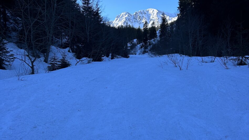 Ski Touring Triebenkogel, the ski tour king of the Vordertriebental - Touren-Impression #2.2 | © Marlena Schüssler