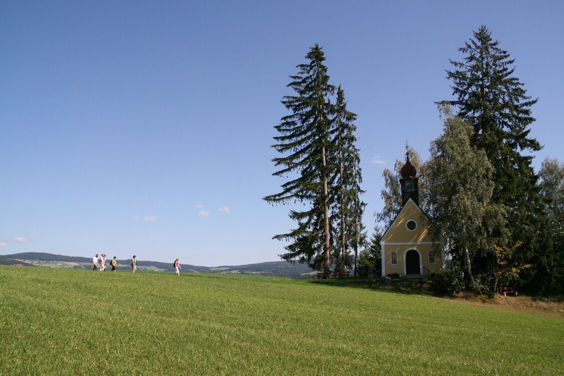 Theme path Franz Höller circular route, Waisenegg - Touren-Impression #1 | © Karl Zodl