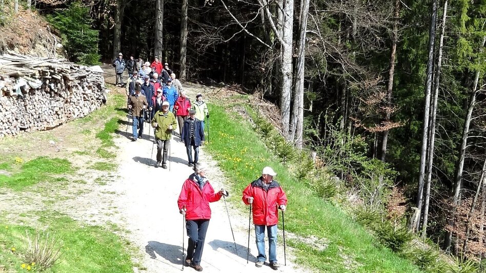 Theme path Franz Höller circular route, Waisenegg - Touren-Impression #2.3 | © Karl Zodl