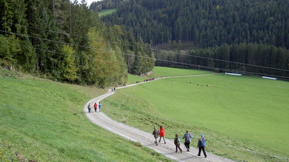Theme path Franz Höller circular route, Waisenegg - Touren-Impression #2.4 | © Karl Zodl