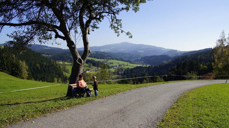 Theme path Franz Höller circular route, Waisenegg - Touren-Impression #2.5 | © Karl Zodl